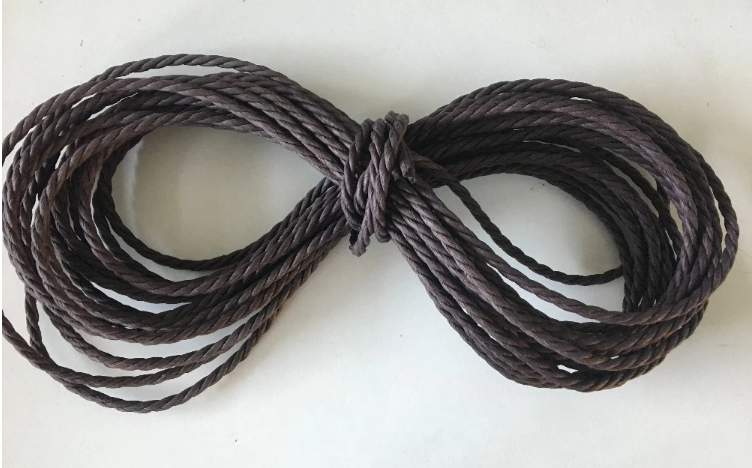 Waterproof paper rope, twisted paper cord