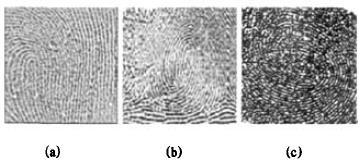 fingerprint-sampling-358x162.jpg
