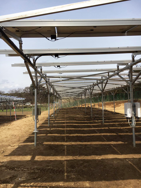 agriculture solar