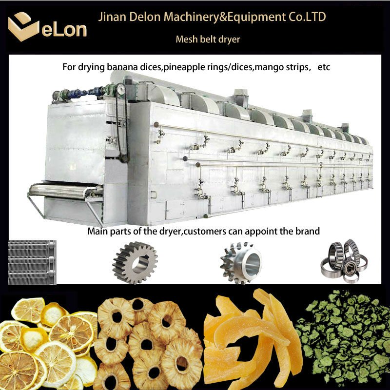 Custom China Fruit Slice Oven, Fruit Slice Oven Manufacturers, Fruit Slice Oven Producers