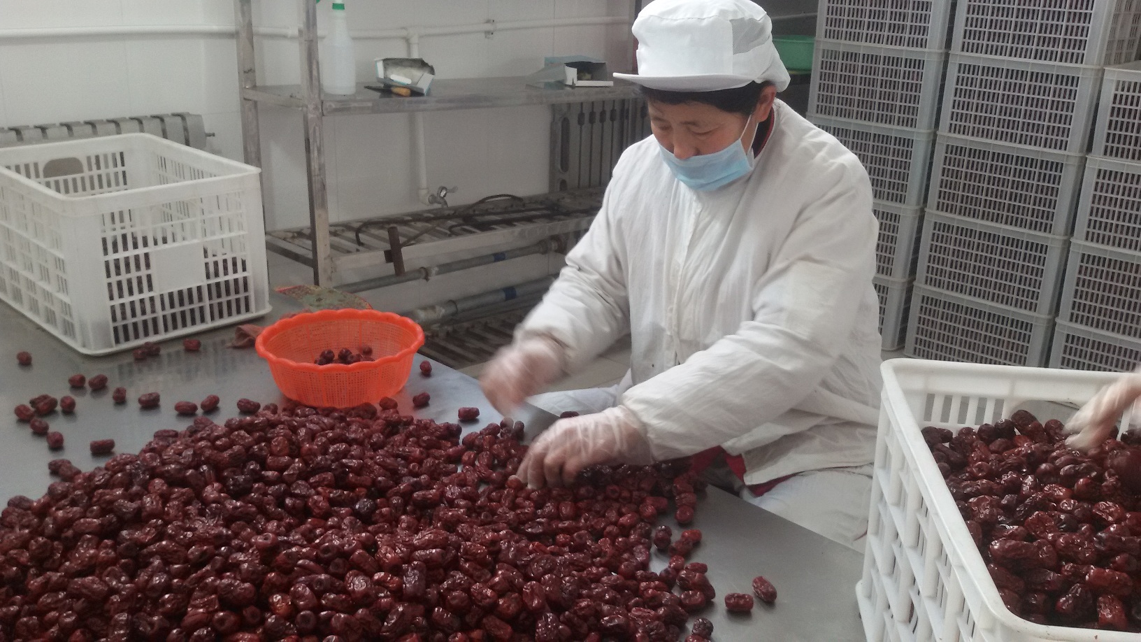 ALIORGANIC organic Chinese red dates Featured process.jpg