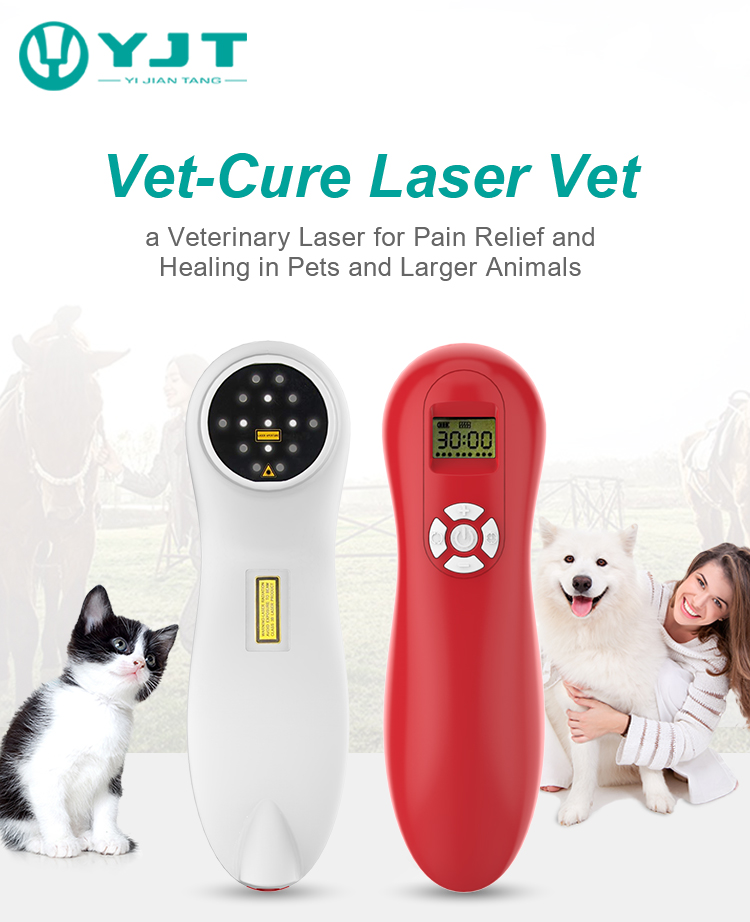 Veterinary Laser