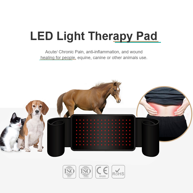 portable phototherapy led infrared slim body led red light therapy Foldable Wearable Wrap for weight loss with good quality Manufacturers, portable phototherapy led infrared slim body led red light therapy Foldable Wearable Wrap for weight loss with good quality Factory, Supply portable phototherapy led infrared slim body led red light therapy Foldable Wearable Wrap for weight loss with good quality