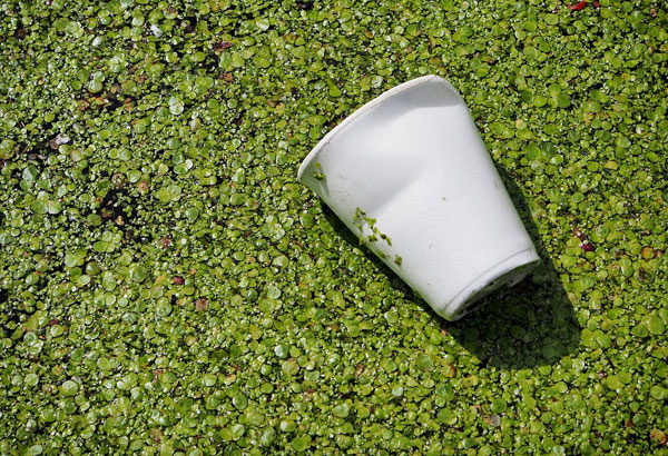 Biodegradable shopping bags