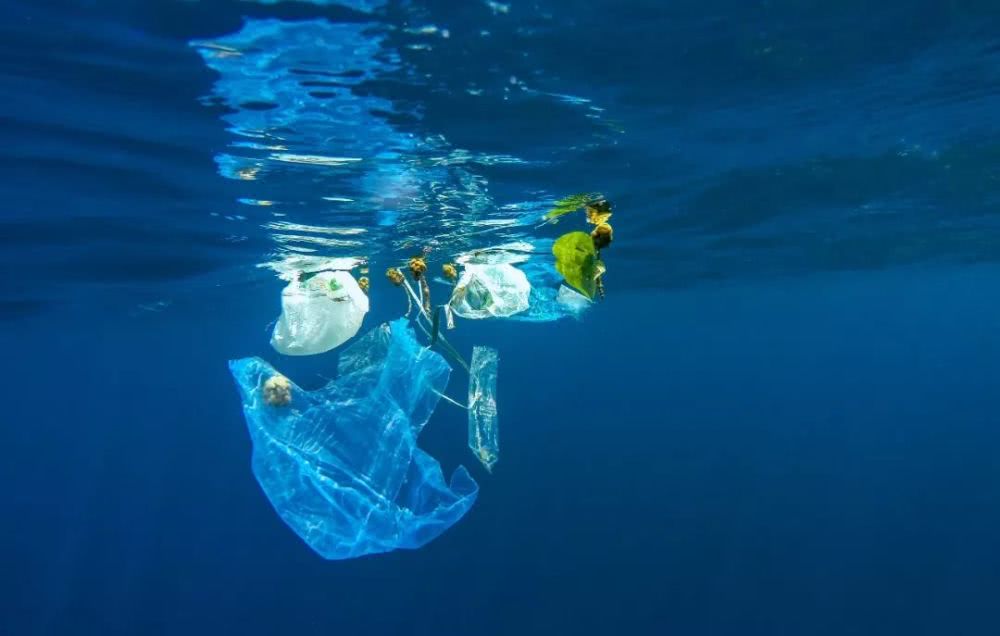 sacchetti di immondizia biodegradabili