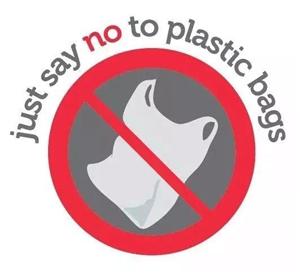 L'Union européenne a annoncé une interdiction de l'utilisation des plastiques. Quel est l'impact de l'interdiction du plastique ces dernières années?