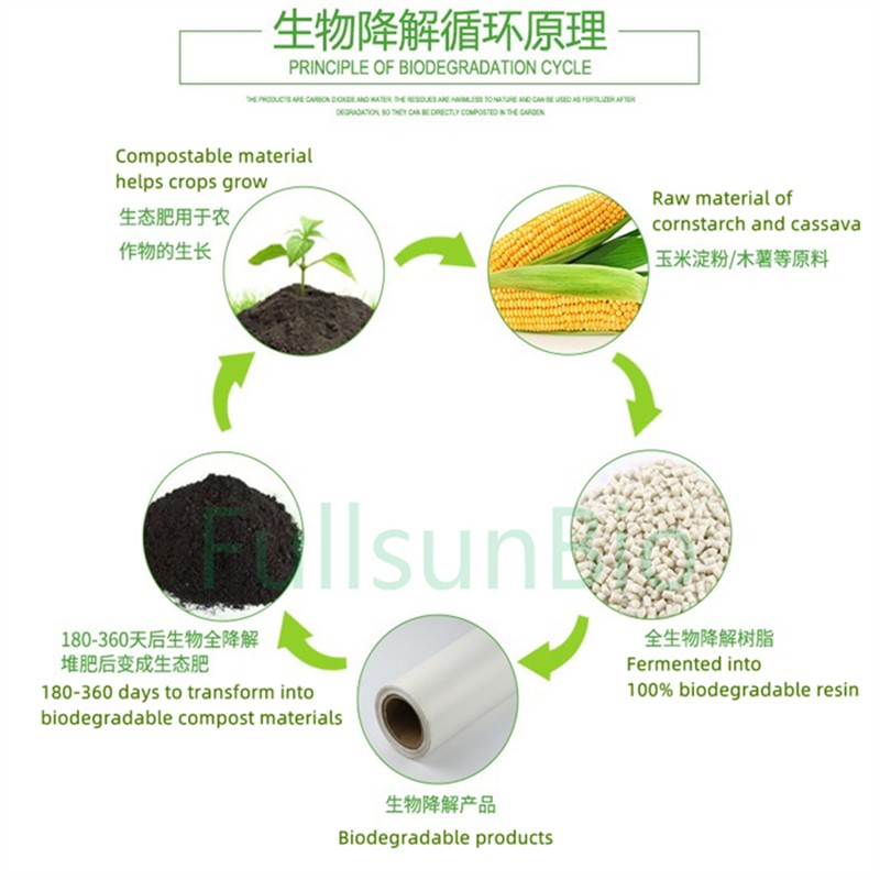 Biodegradable Coffee Straw Factory