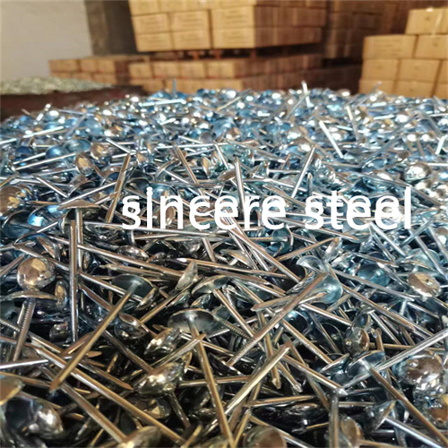 Manufacturer Galvanized corrguated twisted roofing nails