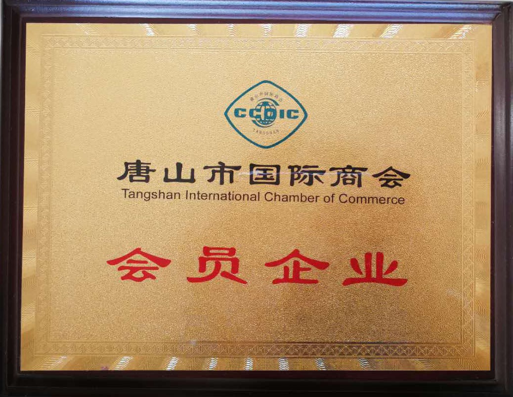 International chamber of commerce member enterprises