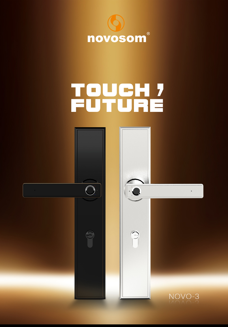 door smart lock