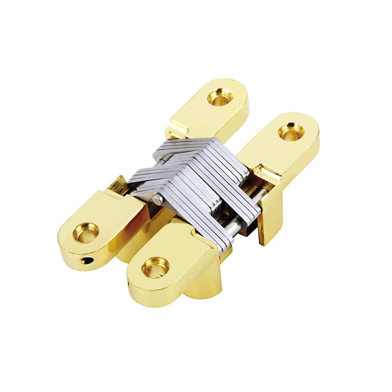 Hydraulic Hinge Invisible Hinge