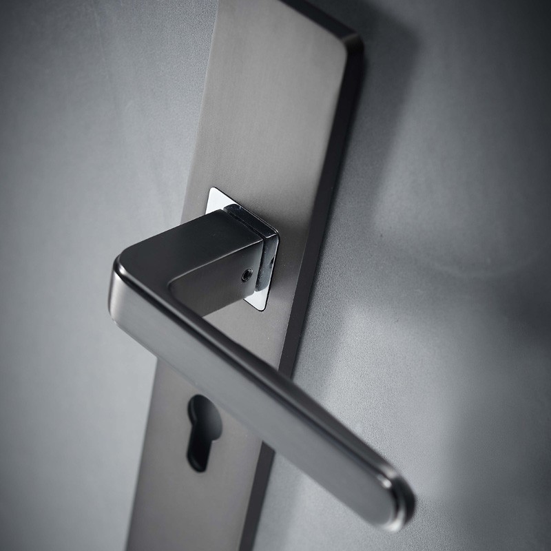 Contemporary Door Handles On Plate