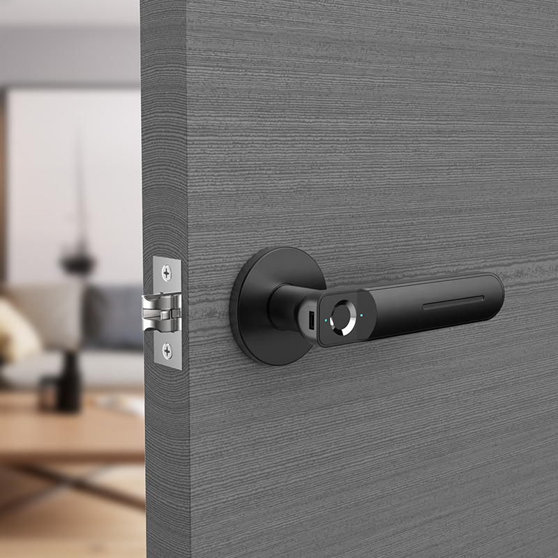 ล็อคประตูด้วยลายนิ้วมือ Tirumio, ล็อคไบโอเมตริกซ์อัจฉริยะ Safe Handle 658-568 60
