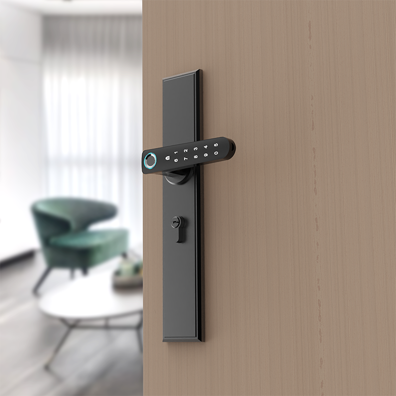 Дверной замок без ключа, умный биометрический дверной замок с отпечатками пальцев, безопасная передняя дверная ручка с отпечатком пальца 628-198-260 5572
