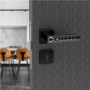 Smart Door Lock Keyless Entry Door Lock Biometric Fingerprint Bluetooth APP Control Lever Security Front 628-688