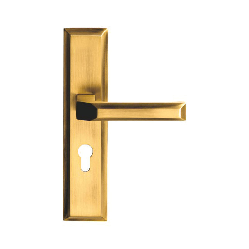 Brass Door Handles NWT21
