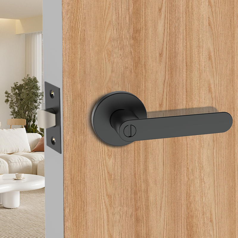 Dummy Lock for Homes