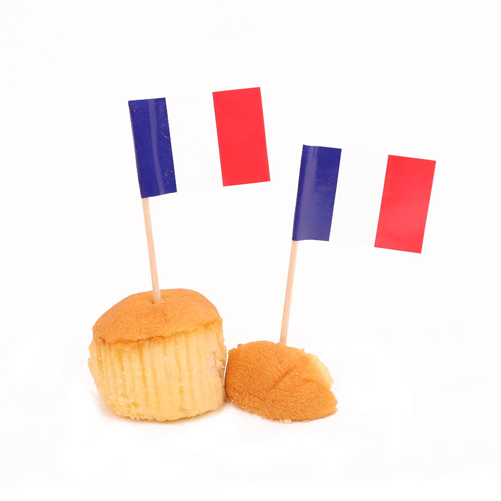Supply Cupcake Decorating Flag Picks, Custom World Flag Toothpick, World Flag Toothpick Company