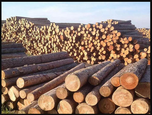 Russia Log Quota Regulation