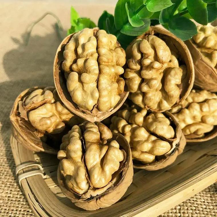 The Growing Trend and Challenges in the Walnut Industry