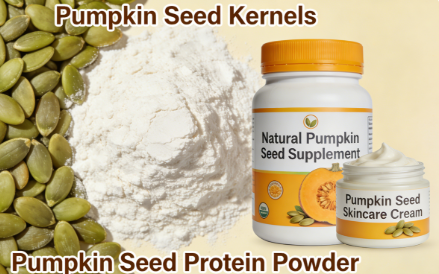 Protéines de graines de citrouille : comment les graines de citrouille dynamisent les marchés des aliments fonctionnels et des ingrédients végétaux