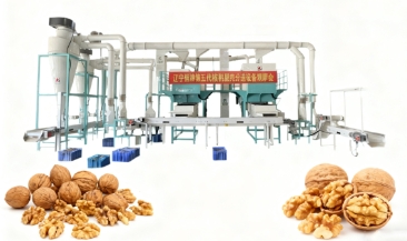 Como uma linha industrial de descascamento de nozes aumenta o lucro de uma fábrica europeia em 35%