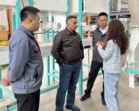 Випробування обладнання для лущення волоських горіхів з голландським клієнтом у Qiaopai Machinery