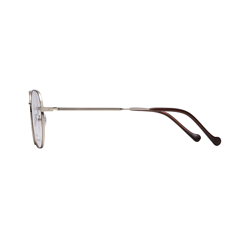 Beta Titanium Glasses - Geometric Eye