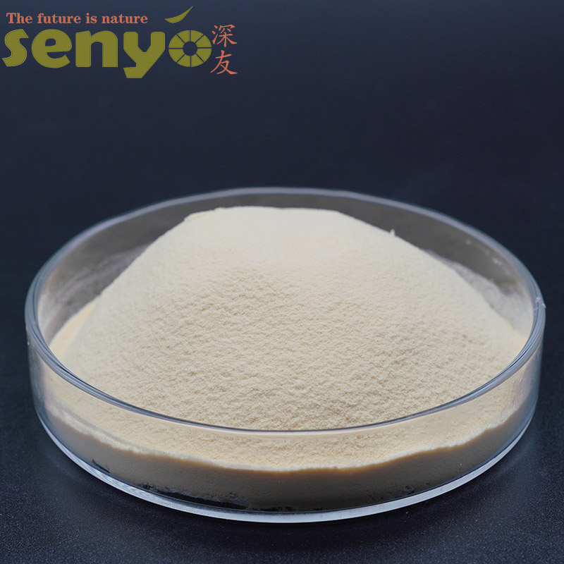 Food Grade Yeast Extracts Powder for Flavor