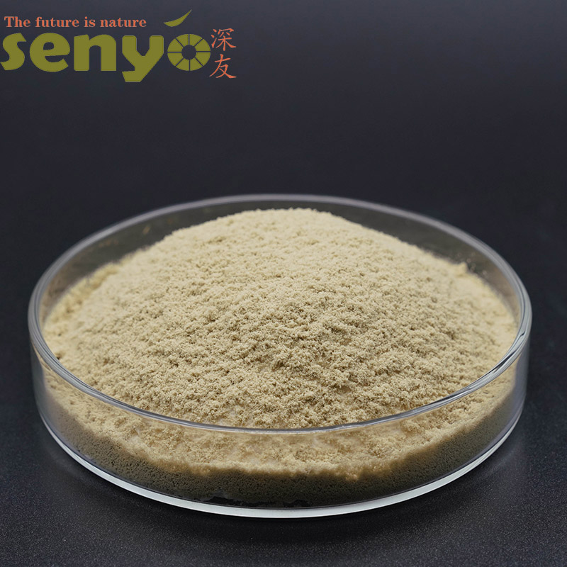 Brands Yeast Extract Powder, Organic Yeast Extract Producers, Buy Yeast Powder Promotions