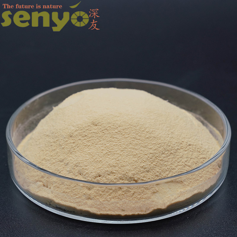 Health Food Nutritional Yeast Powder with Top Quality