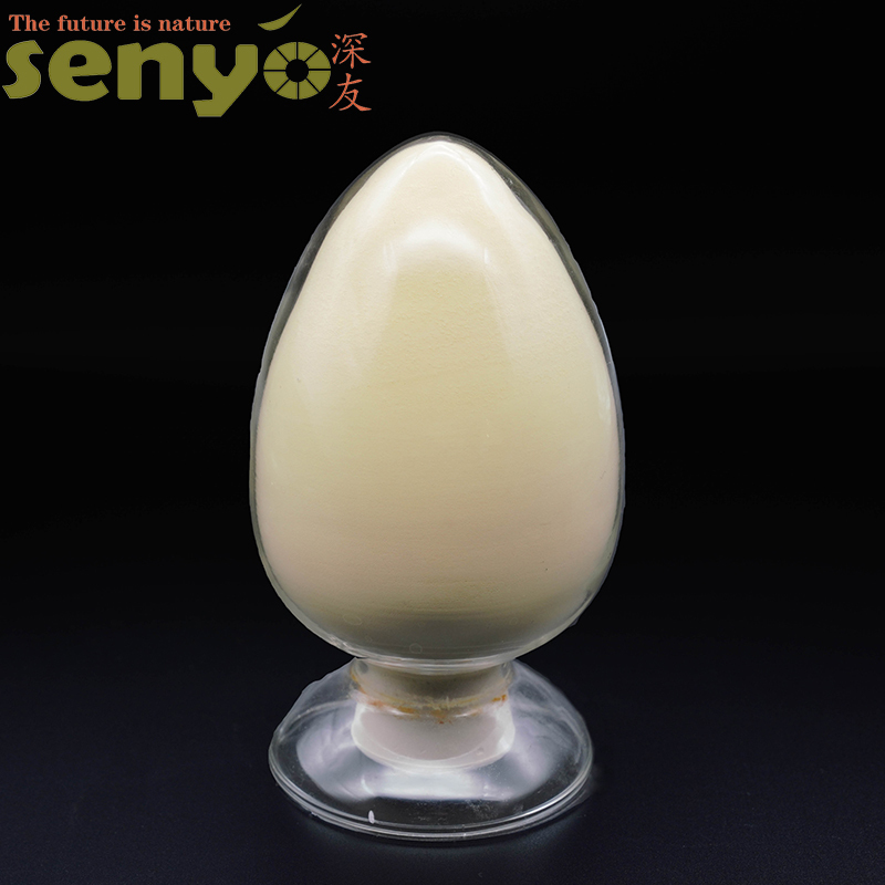 발효 배지 안전 효모 추출물 분말