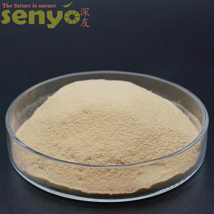 Levadura Nutricional de Alimentos Saludables en Polvo de Alta Calidad
