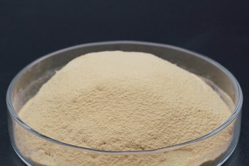 营养酵母--素食中的神奇成分