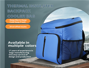 Fabrikanten van koeltassen praten over de toepassing en voordelen van isolatiezakken