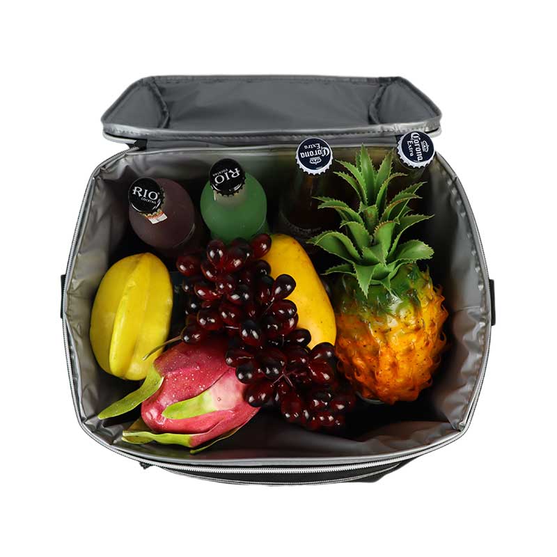 Lunch Insulated Portable Leakproof Cooler Bag