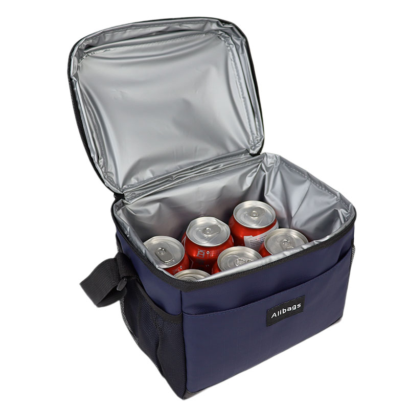 thermal insulated lunch box with bag