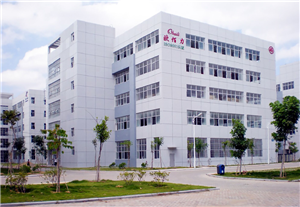 Seis ventajas clave de elegir la fábrica de bolsos Obaili