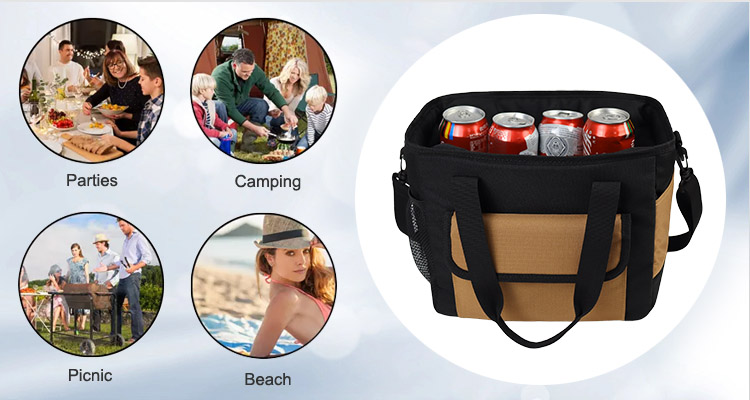 הרבגוניות של שקיות צידניות בחיי היומיום