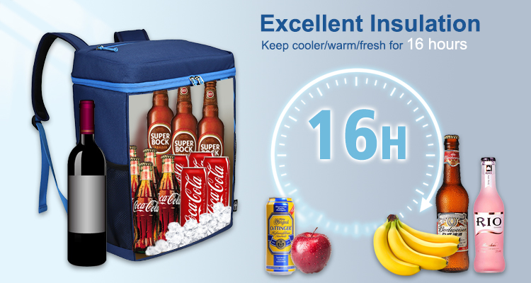 שקיות צידניות: אלטרנטיבה בת קיימא לאריזות קרח חד פעמיות