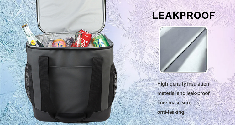 cooler bag
