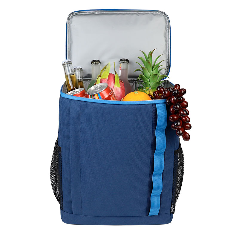 Insulated Cooler Bag Keep Your Food Fresh & Drinks Cool for Up to 16 Hours