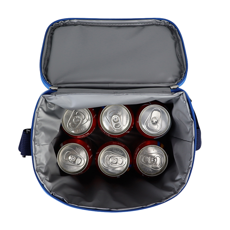 Portable Insulated Cooler Bag for Every Adventure