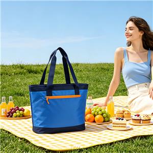 Große, isolierte Kühltasche – OEM/ODM-Direkt vom Hersteller | Wasserdicht, recycelte Materialien, verbesserte PEVA-Auskleidung