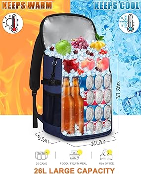 food delivery bag