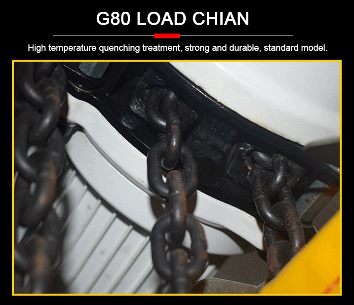 110v chain hoist