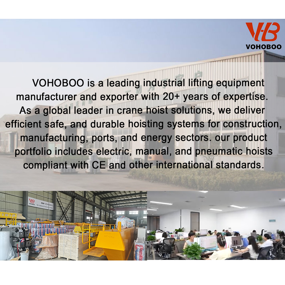 Advanced European Type Wire Rope Hoist with Smart Control System for Material Handling Factory