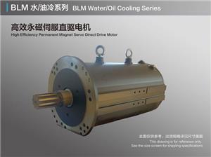 Високоефективний двигун з прямим приводом на постійних магнітах з водяним/масляним охолодженням BLM