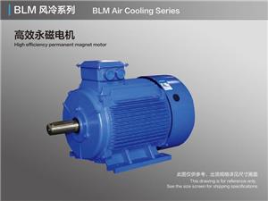 BLM 공기 냉각 고효율 영구 자석 모터