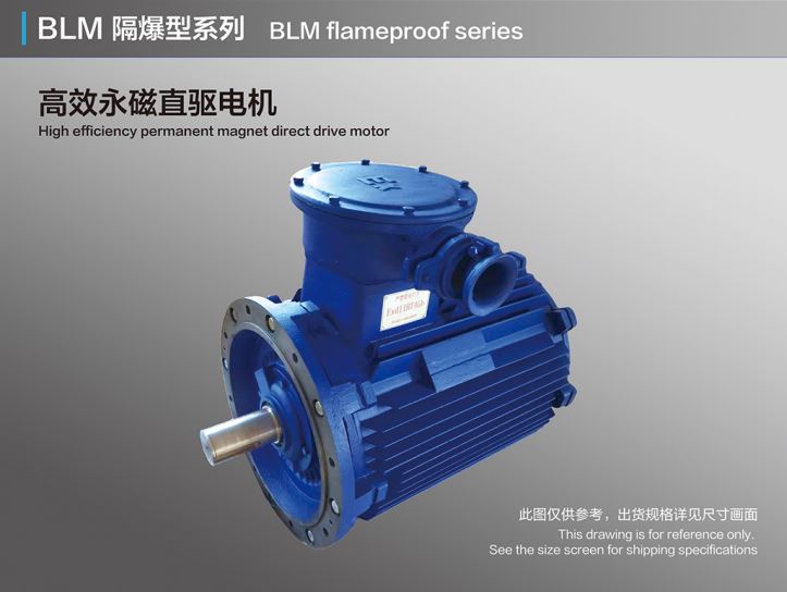BLM Flameproof High Efficiency Permanent Magnet Direct Drive Motor